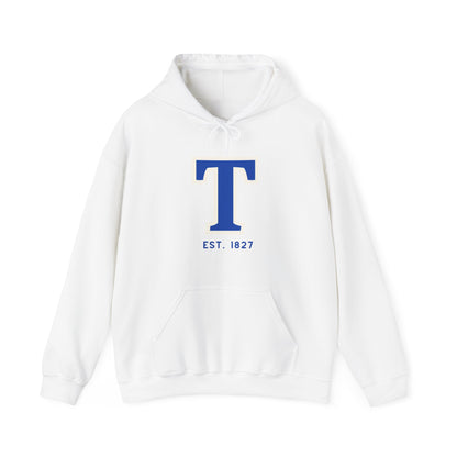 Toronto "T" Unisex Heavy Blend™ Hooded Sweatshirt