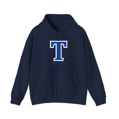 Toronto "T" Unisex Heavy Blend™ Hooded Sweatshirt